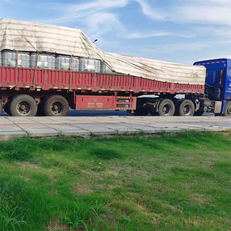 潮南区枣阳市物流运输：多元服务与高效线路探秘