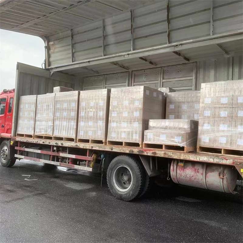 潮南区探索多元物流世界：从普货到冷链的运输之旅