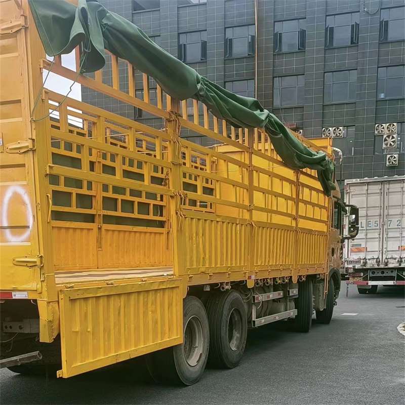 潮南区吉安市物流：多元服务与高效运输线路探秘