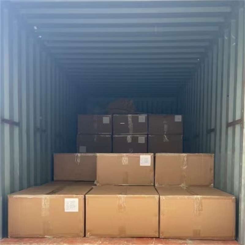 潮南区探秘新抚区多元物流运输世界